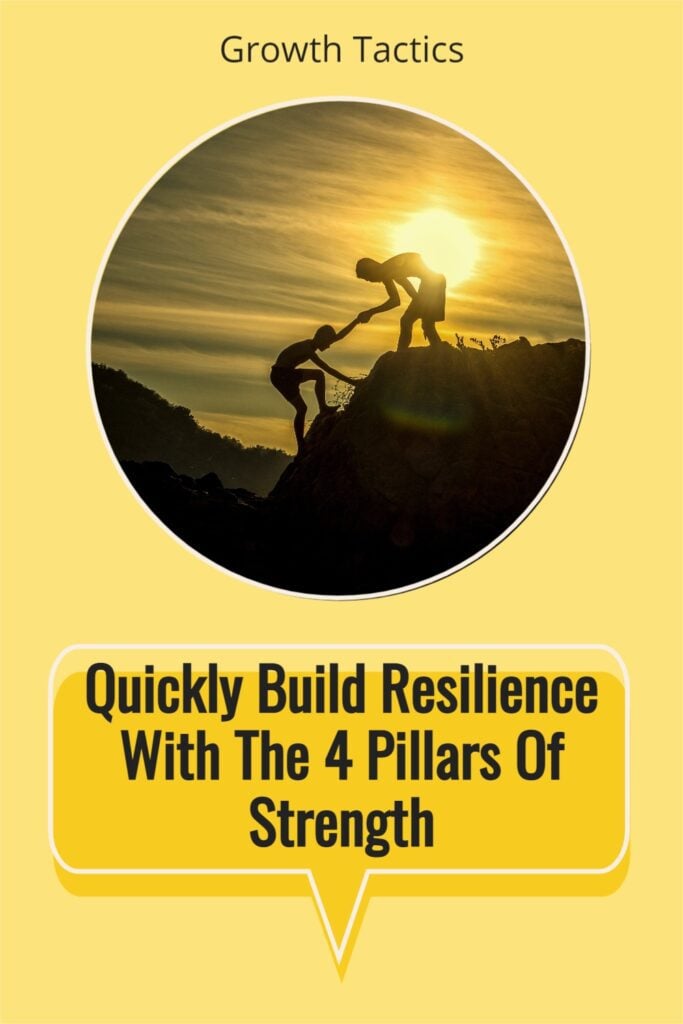 pillars of resilience