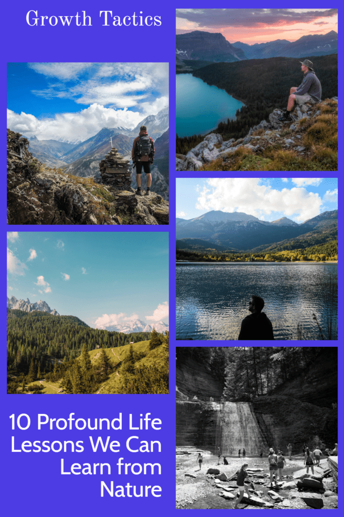 10 Profound Life Lessons We Can Learn from Nature