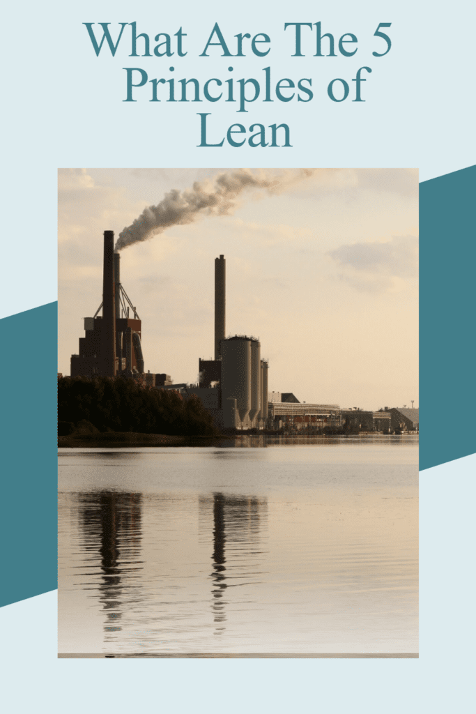 5 principle of lean management Pin