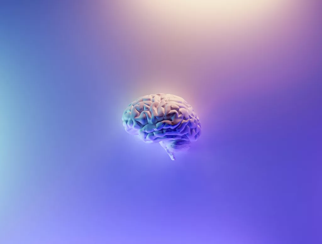 benefits of brain dumping. Image of a brain.