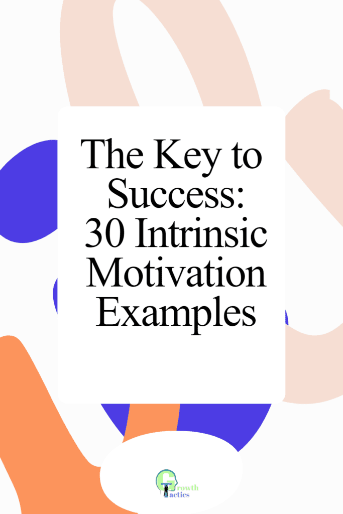 intrinsic motivation examples pin