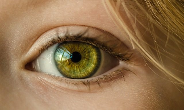 eye contact in communication