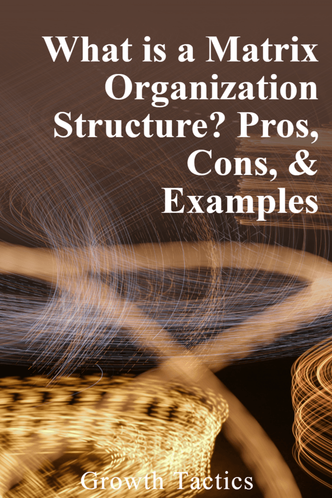 What is a Matrix Organization Structure? Pros, Cons, & Examples pin